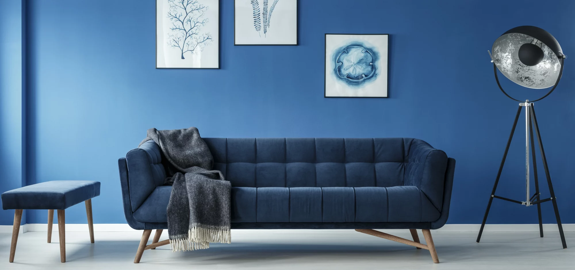 Blue Sofa 3
